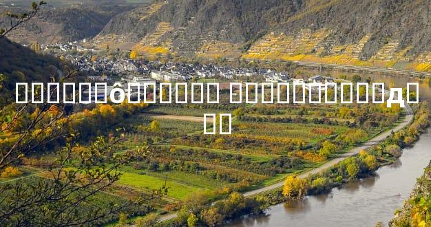 ������ô������ ԭ���������д�